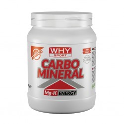 CARBO MINERAL